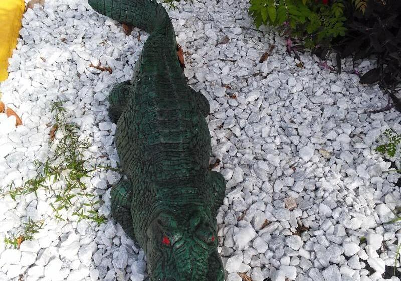 فندق Merida Inn And Suites