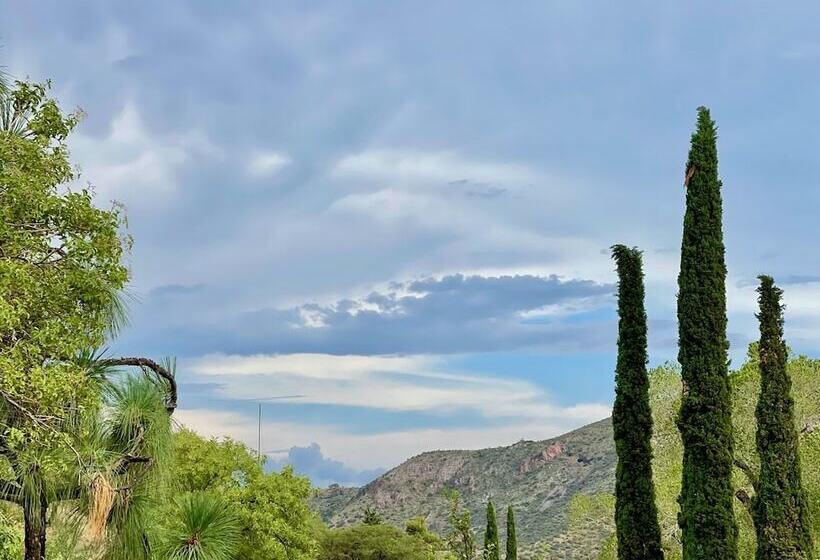 فندق Mile High Ranch