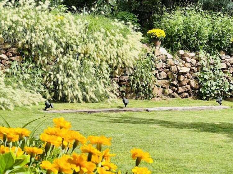 فندق Mile High Ranch