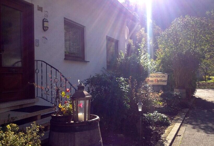 Отель Mosel Pension Gästehaus Christiane, Brodenbach