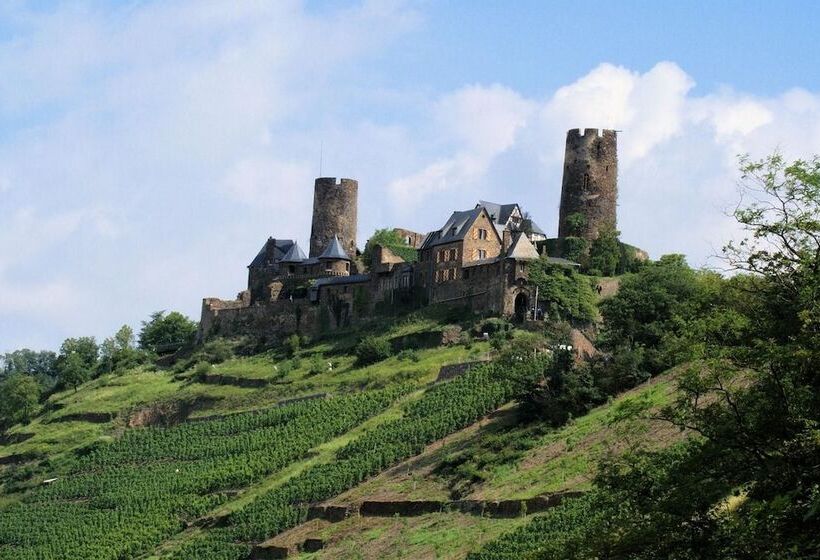 Отель Mosel Pension Gästehaus Christiane, Brodenbach