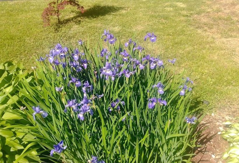 هتل Naomi's Inn Bed & Breakfast