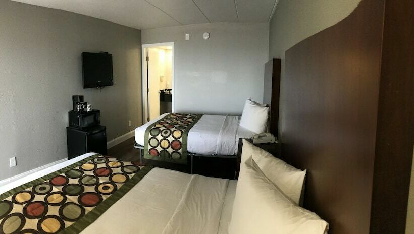 Отель Ocean's 24