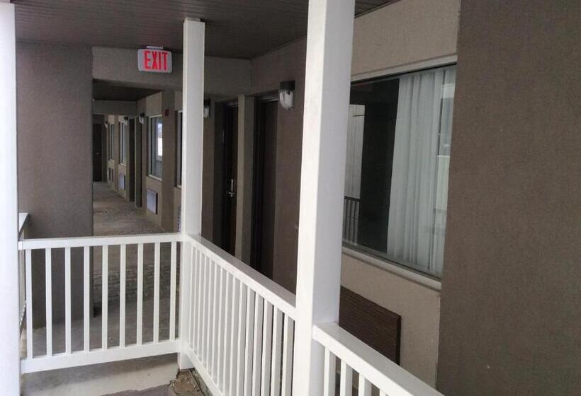 Отель Ocean's 24