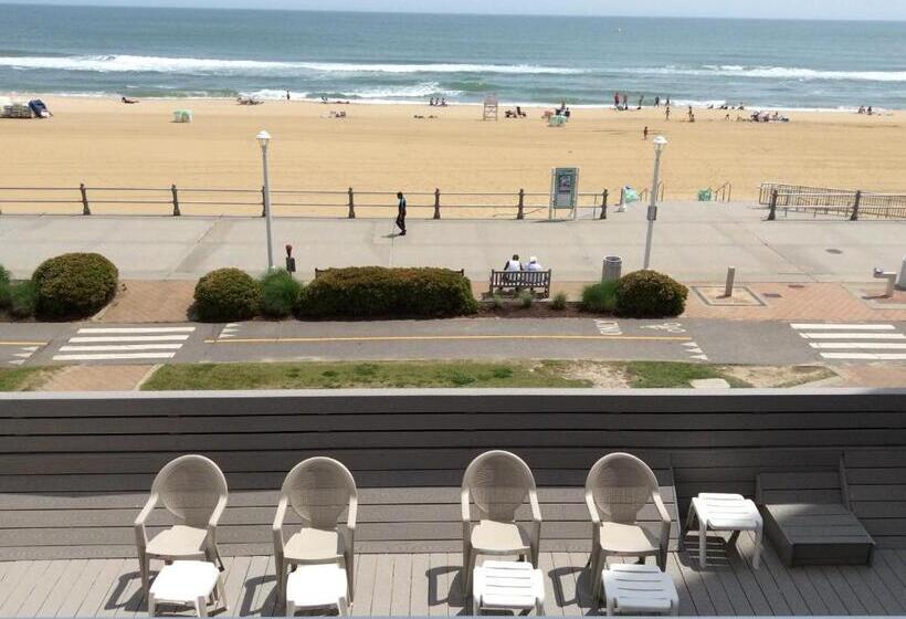 Отель Ocean's 24