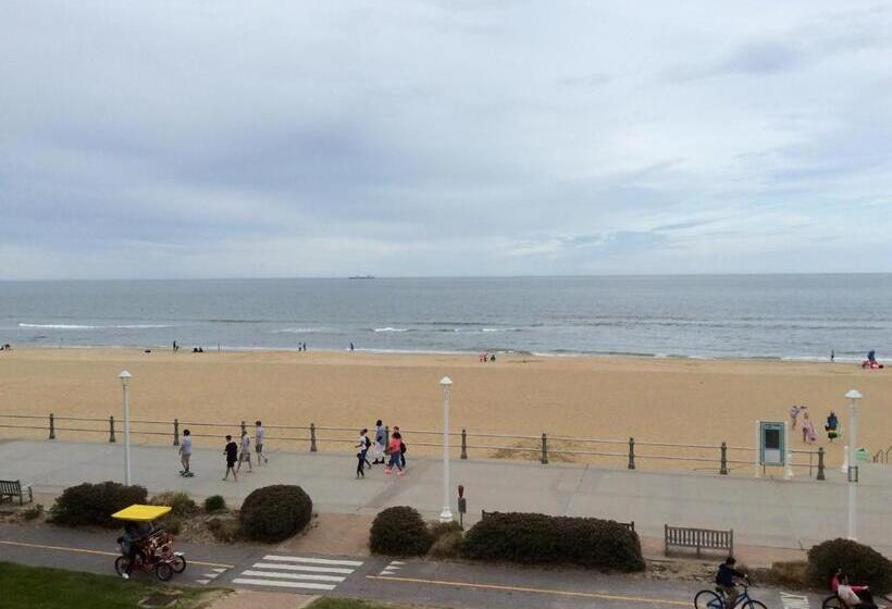 Отель Ocean's 24