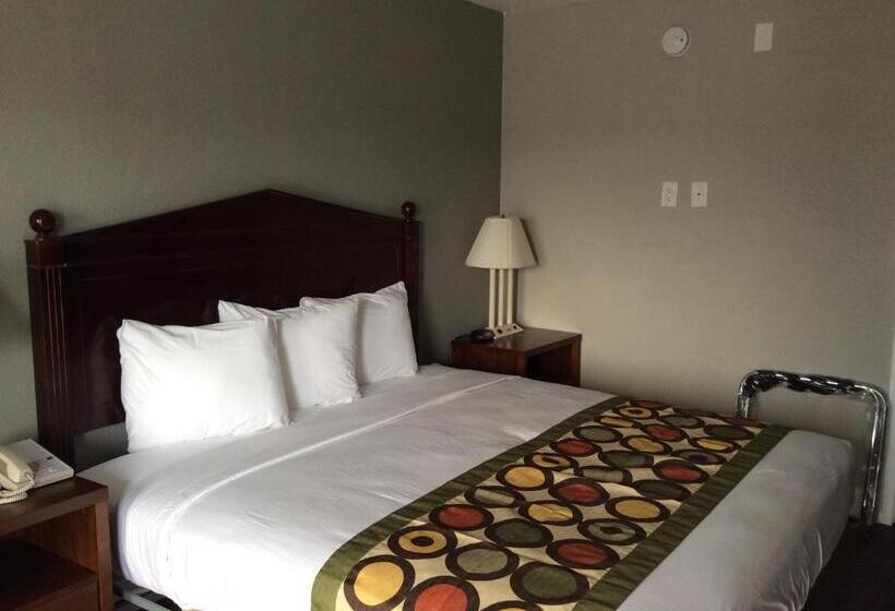 Отель Ocean's 24