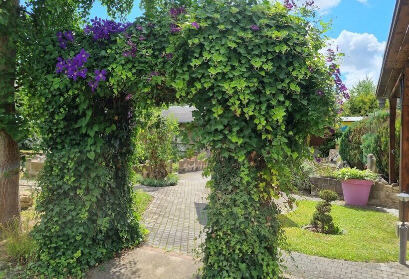 בית מלון כפרי Pension Ilmhof