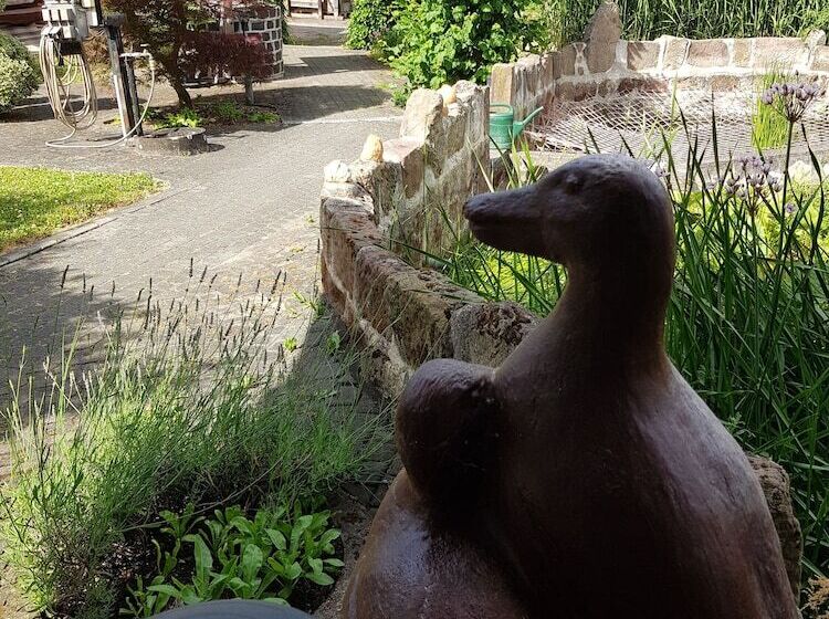 בית מלון כפרי Pension Ilmhof