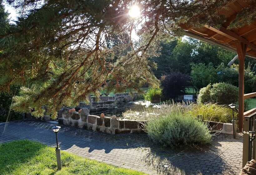 בית מלון כפרי Pension Ilmhof