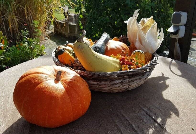 בית מלון כפרי Pension Ilmhof