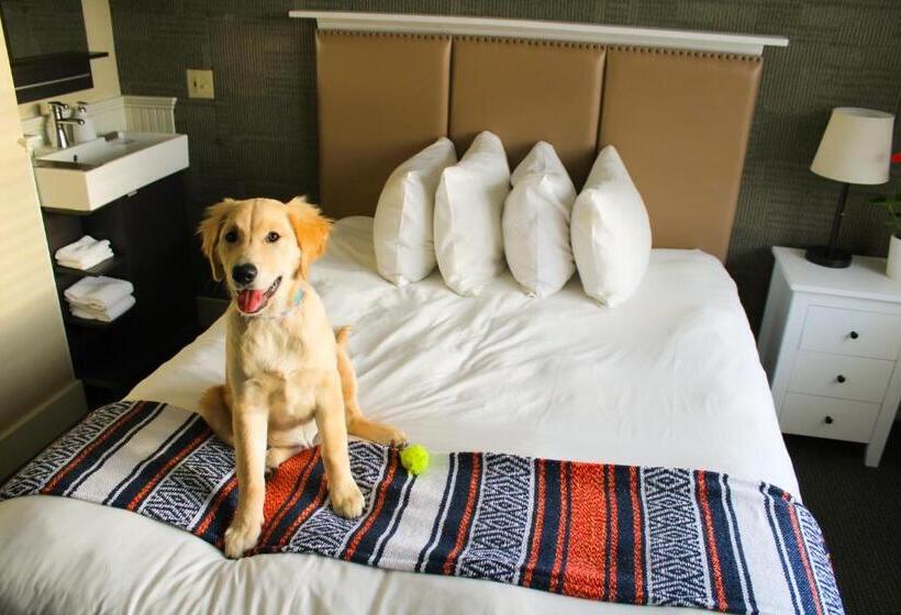 호텔 Pilgrim House