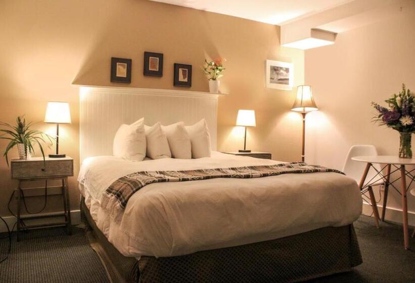 호텔 Pilgrim House