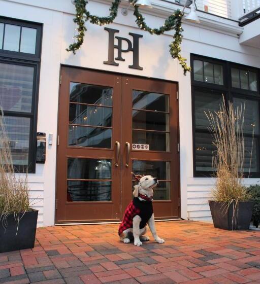 호텔 Pilgrim House