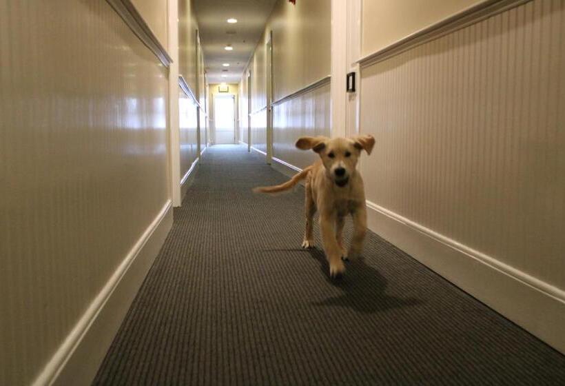 호텔 Pilgrim House