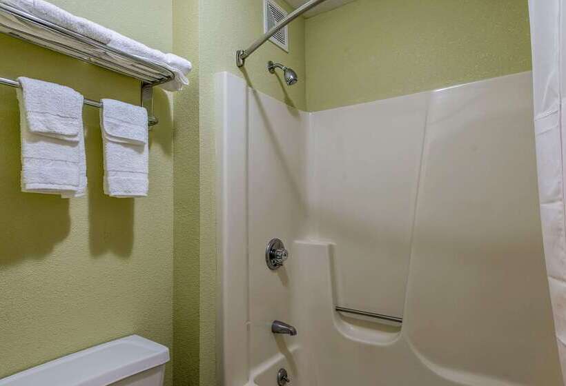 فندق Quality Inn & Suites University Area