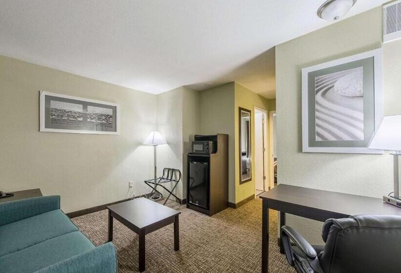 Отель Quality Inn & Suites University Area