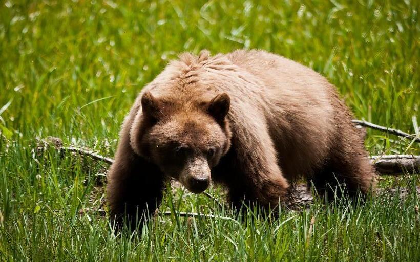 فندق Rio Sierra Riverhouse