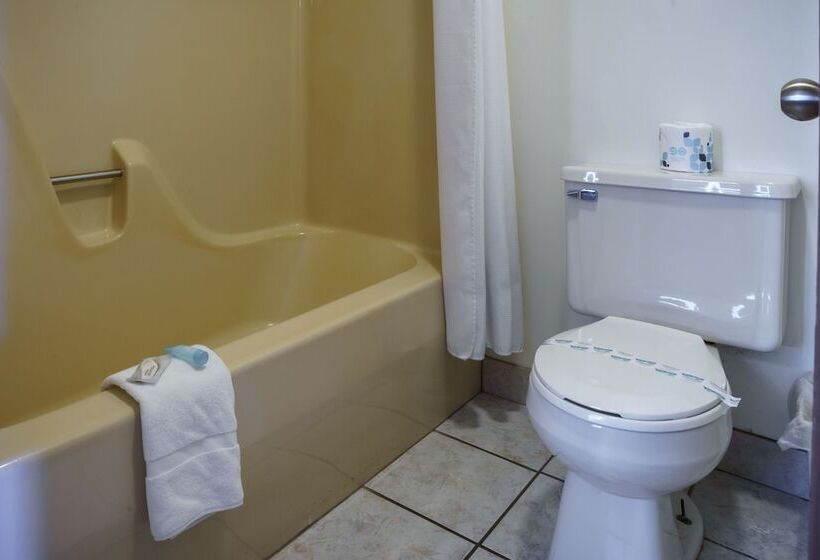 ホテル Shady Acre Inn And Suites
