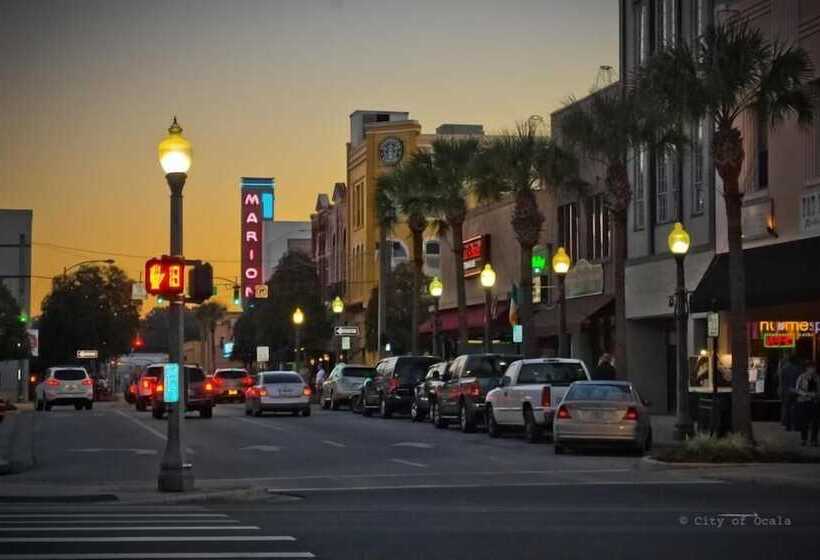 فندق Shamrock Cove Inn