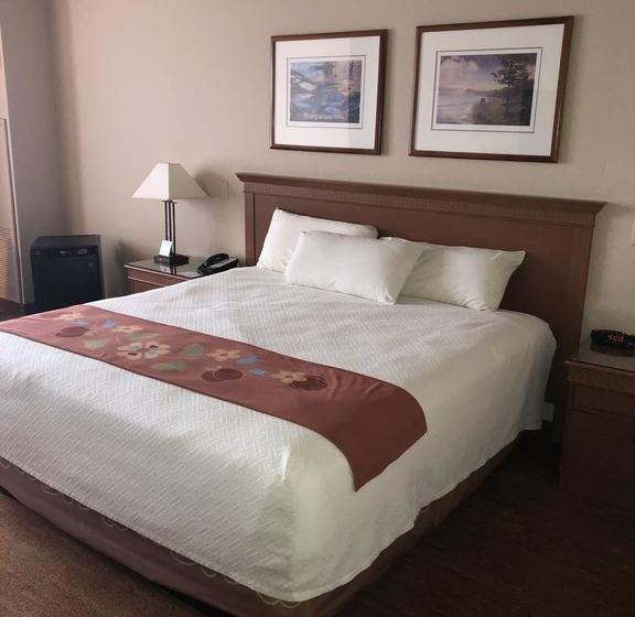 Отель Soaring Eagle Casino And Resor