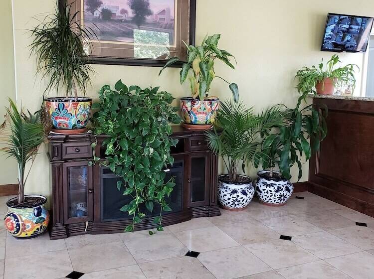 酒店 Taylor Village Inn And Suites