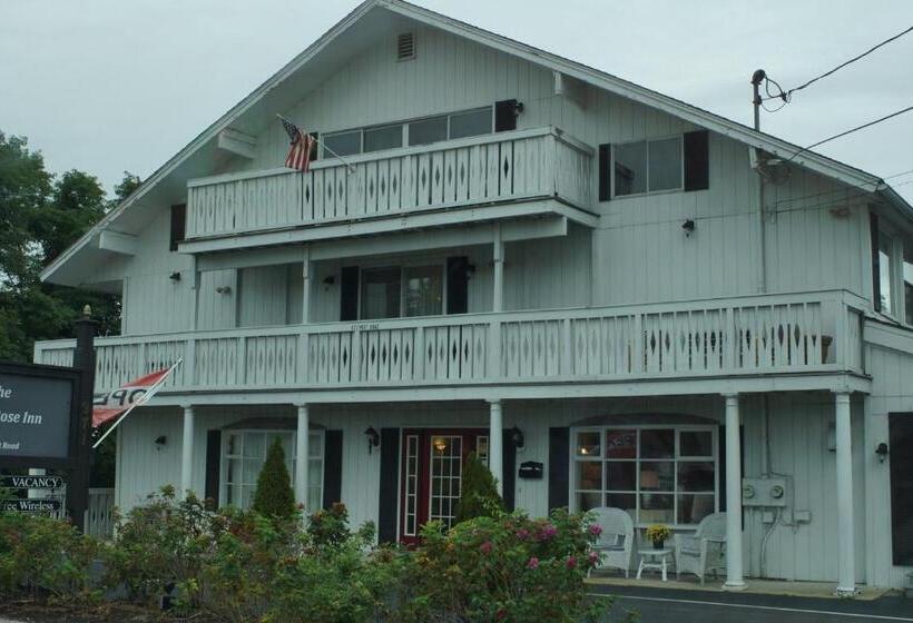 호텔 The Beach Rose Inn