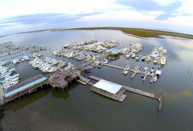 فندق The Conch House Marina Resort