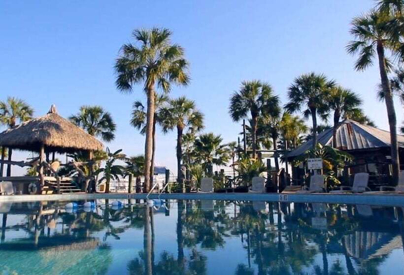 فندق The Conch House Marina Resort