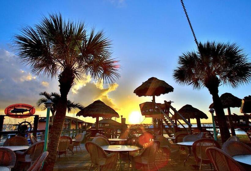 فندق The Conch House Marina Resort