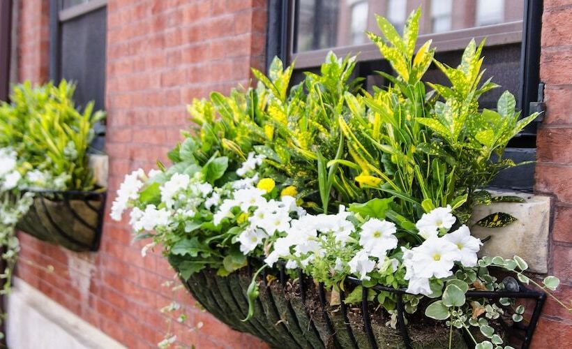 Отель The Dwight D