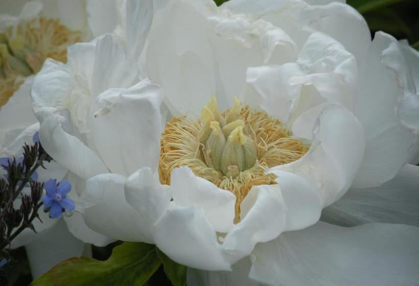 호텔 The Ellwanger Estate