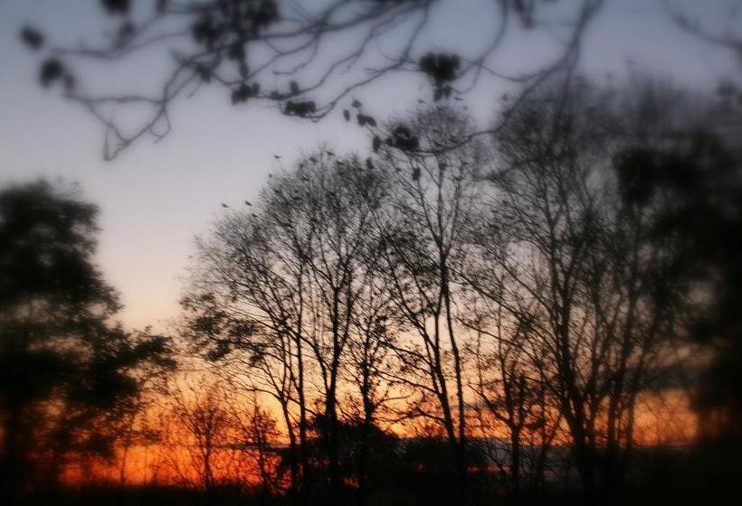 هتل The Ellwanger Estate