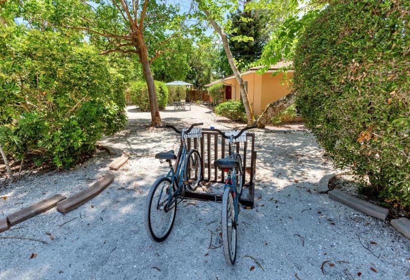 فندق Parrot Nest