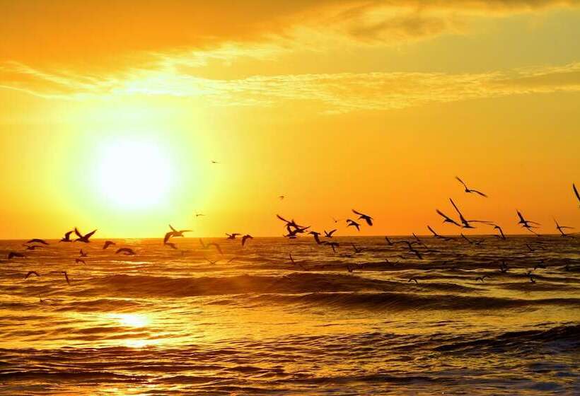 فندق The Saint Augustine Beach House