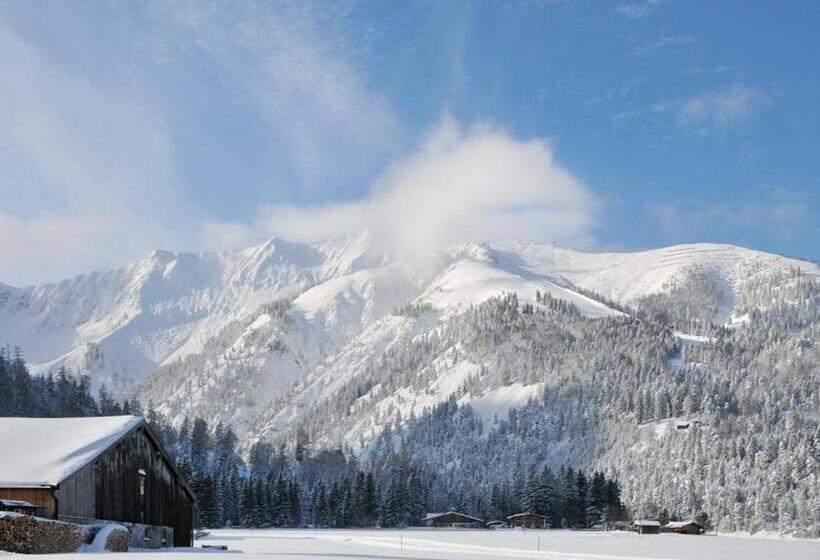 酒店 Tonis Appartements Am Achensee
