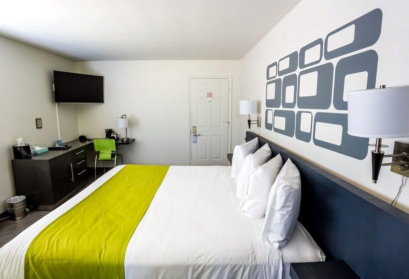 Отель University Inn Asu/tempe