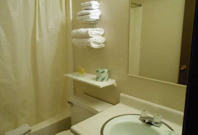 Отель Victorian Inn