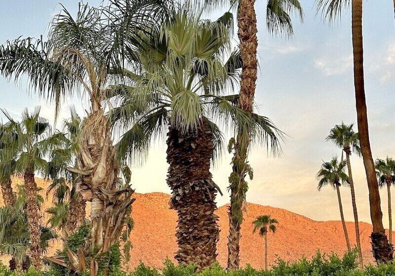 هتل Vista Grande Resort A Gay Men S Resort