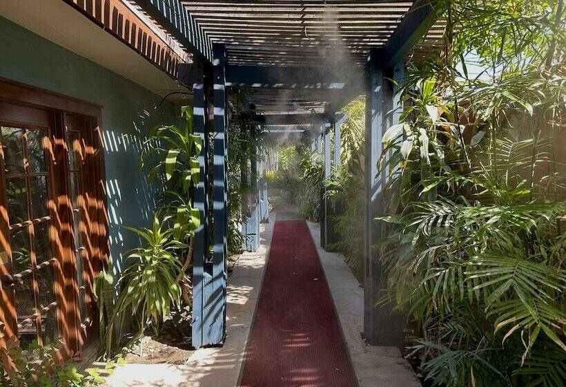 هتل Vista Grande Resort A Gay Men S Resort