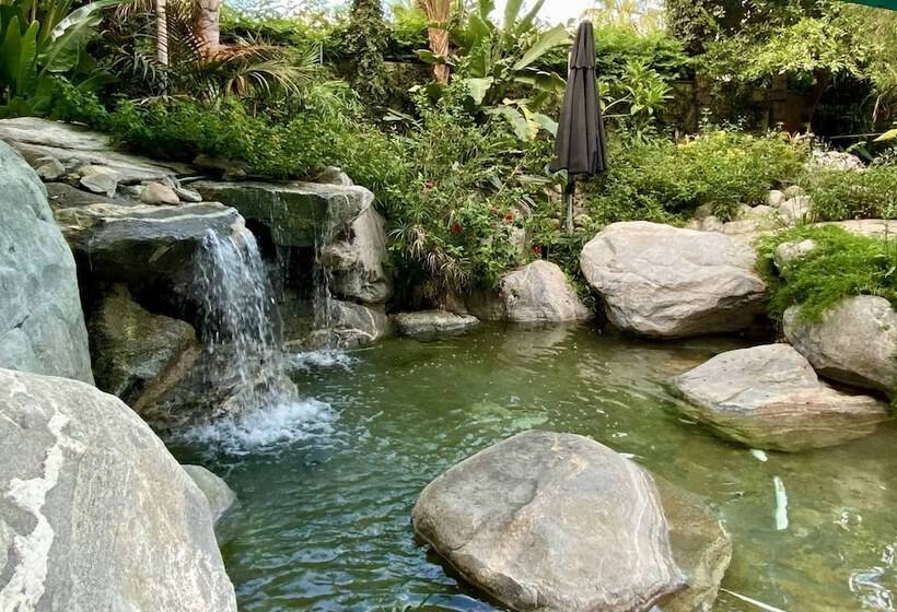 هتل Vista Grande Resort A Gay Men S Resort