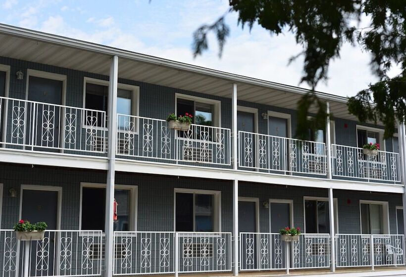 酒店 White Rose Inns