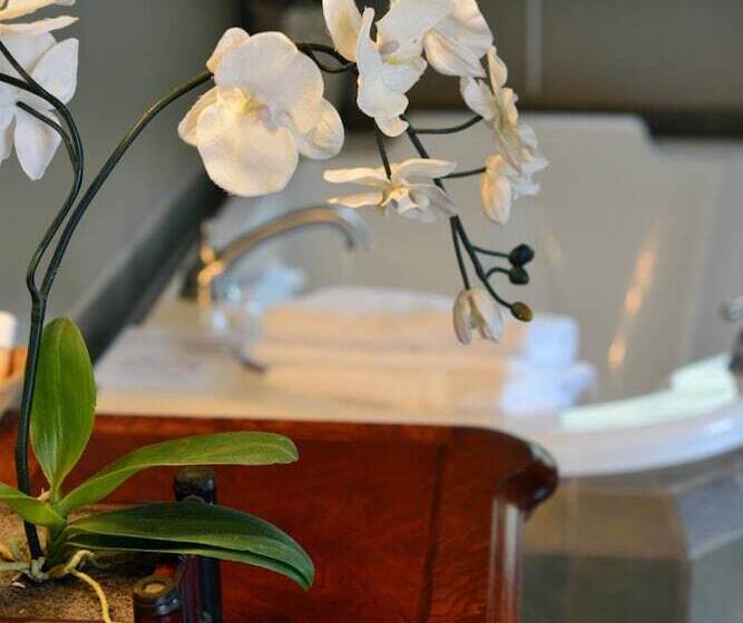 酒店 White Rose Inns