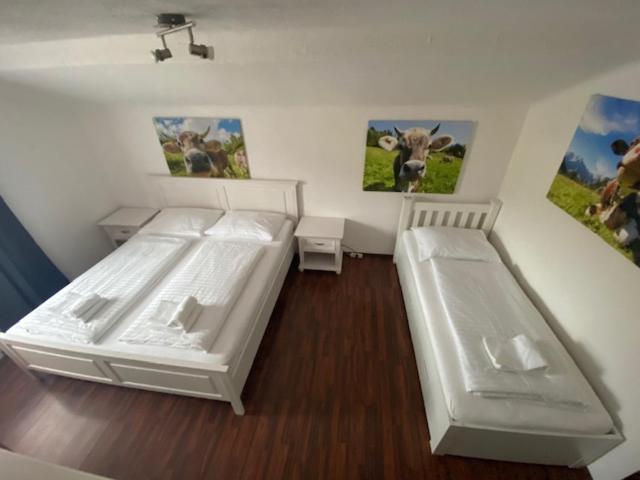 Отель Wildschütz Basic