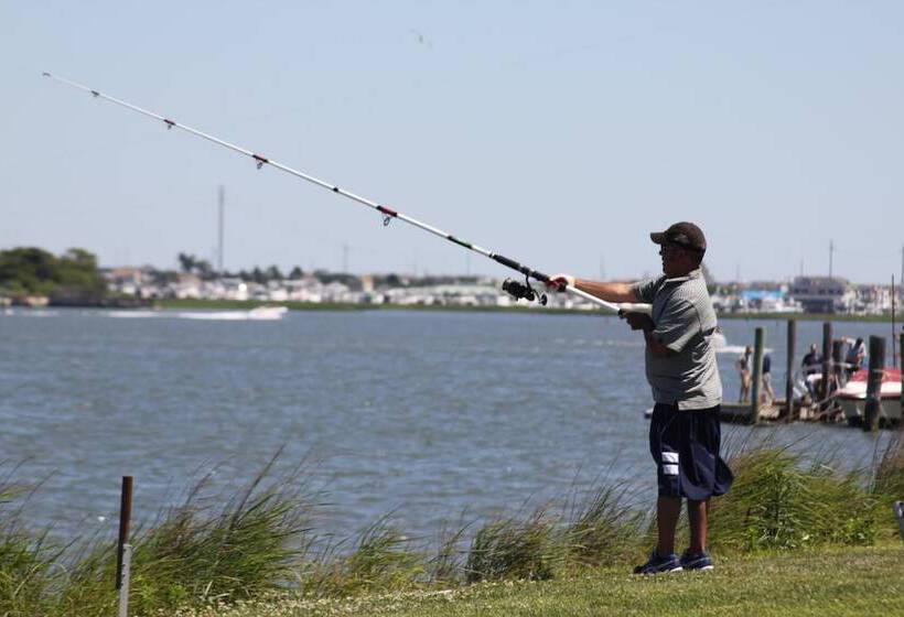 Pyramid Resort Motel
