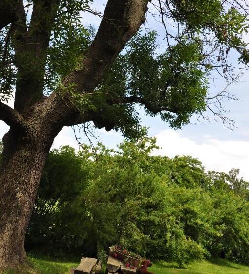 Restauracja Hotel Pałacowa