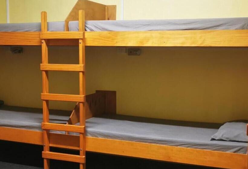 הוסטל Bluewater Lodge