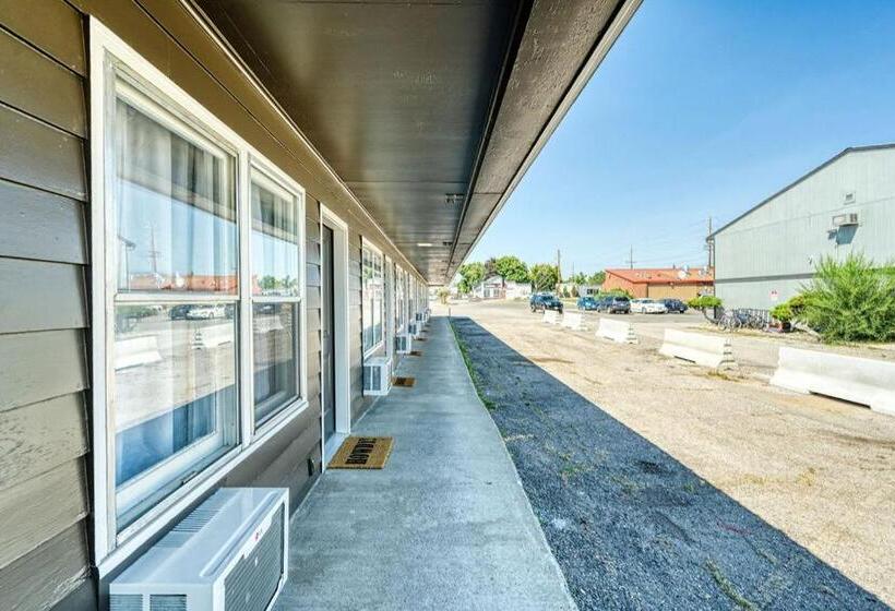 הוסטל Brand New Cozy Studio For 2