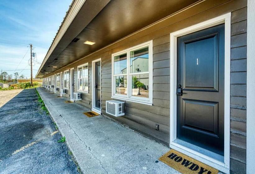 הוסטל Brand New Cozy Studio For 2