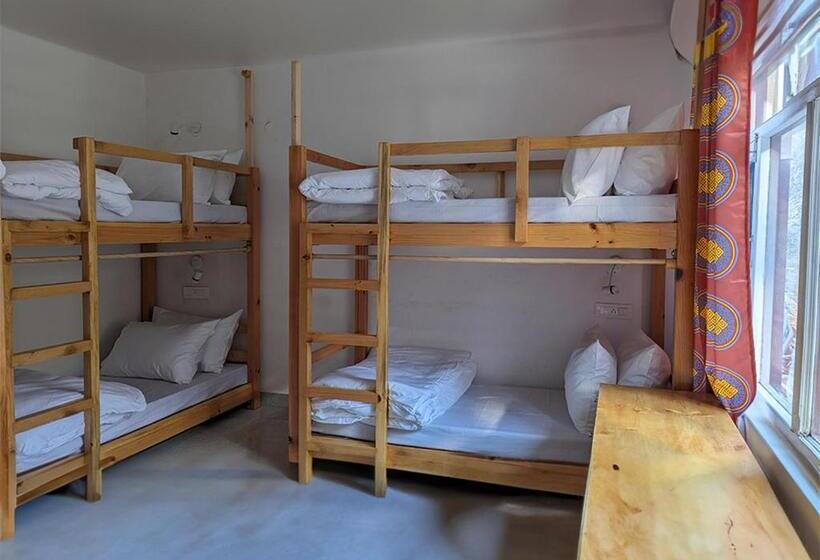 호스텔 Moustache Koksar Luxuria, Sissu